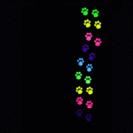 T-shirt with colored paws (paw print) - Image 5